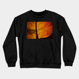 Red Banana Leaf Crewneck Sweatshirt